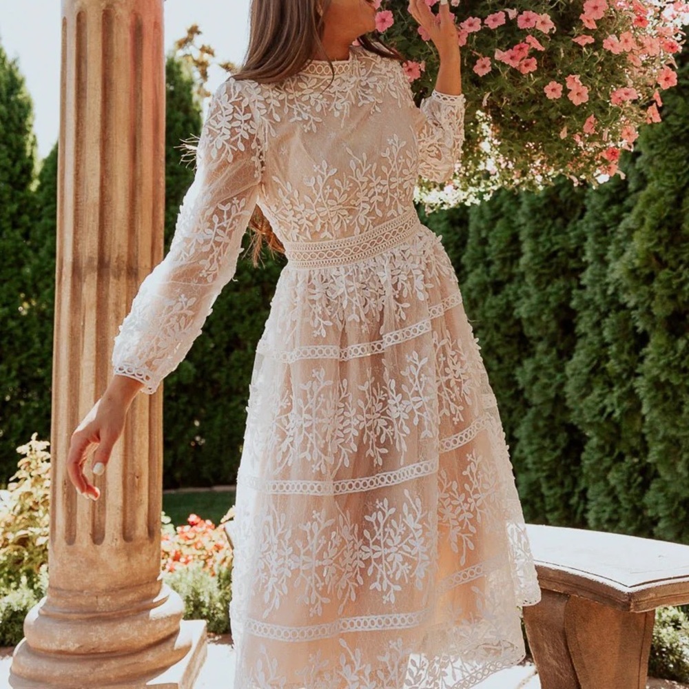 NWT Ivy City Co Sicily Dress - Champagne Lining XL